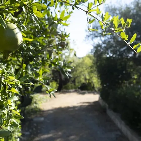 Il Rifugio Nel Feriehus *