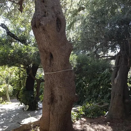 Il Rifugio Nel Feriehus