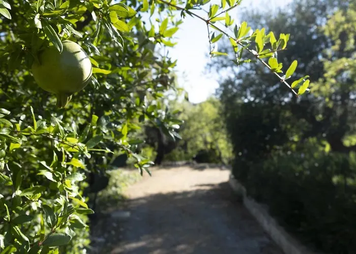 Il Rifugio Nel Σπίτι διακοπών *